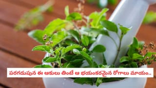 Peanut Oil: గుండె జబ్బుల నుంచి కాపాడే హోం మేడ్ పల్లి నూనె.. రూపాయి ఖర్చు లేకుండా ఇంట్లోనే చేసేయండి