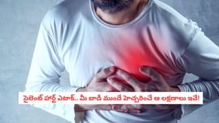 Ice Cream: ఏంటి నిజమా? రోజూ ఐస్‌క్రీమ్ తింటే ఇన్ని లాభాలా..?