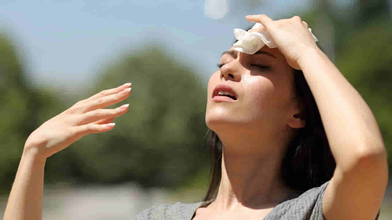 Heat Wave: వాయమ్మో.. దంచికొడుతున్న ఎండలు.. ఈ జాగ్రత్తలు తీసుకుంటే వడదెబ్బ నుంచి మీరు సేఫ్..