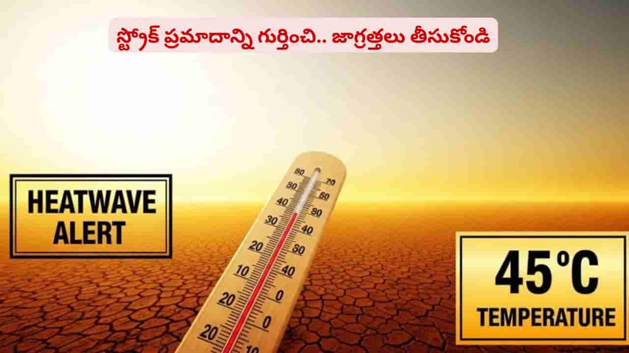 ఎండ వేడికి బ్రెయిన్పై ఎలాంటి ఎఫెక్ట్ పడుతుందో తెలుసా? ప్రాణాలు పోయేంత డేంజరా