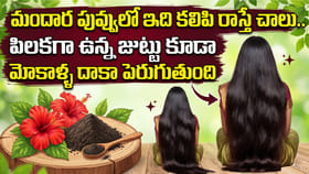 మందార పువ్వుతో పాటు ఇది కలిపి రాస్తే జుట్టు ఒత్తుగా పెరుగుతుంది