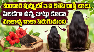 Love vs Fake Love : మీది ప్రేమేనా లేక మిమ్మల్ని వాడుకుంటున్నారా? ఈ 5 సంకేతాలతో ఇట్టే కనిపెట్టేయండి!