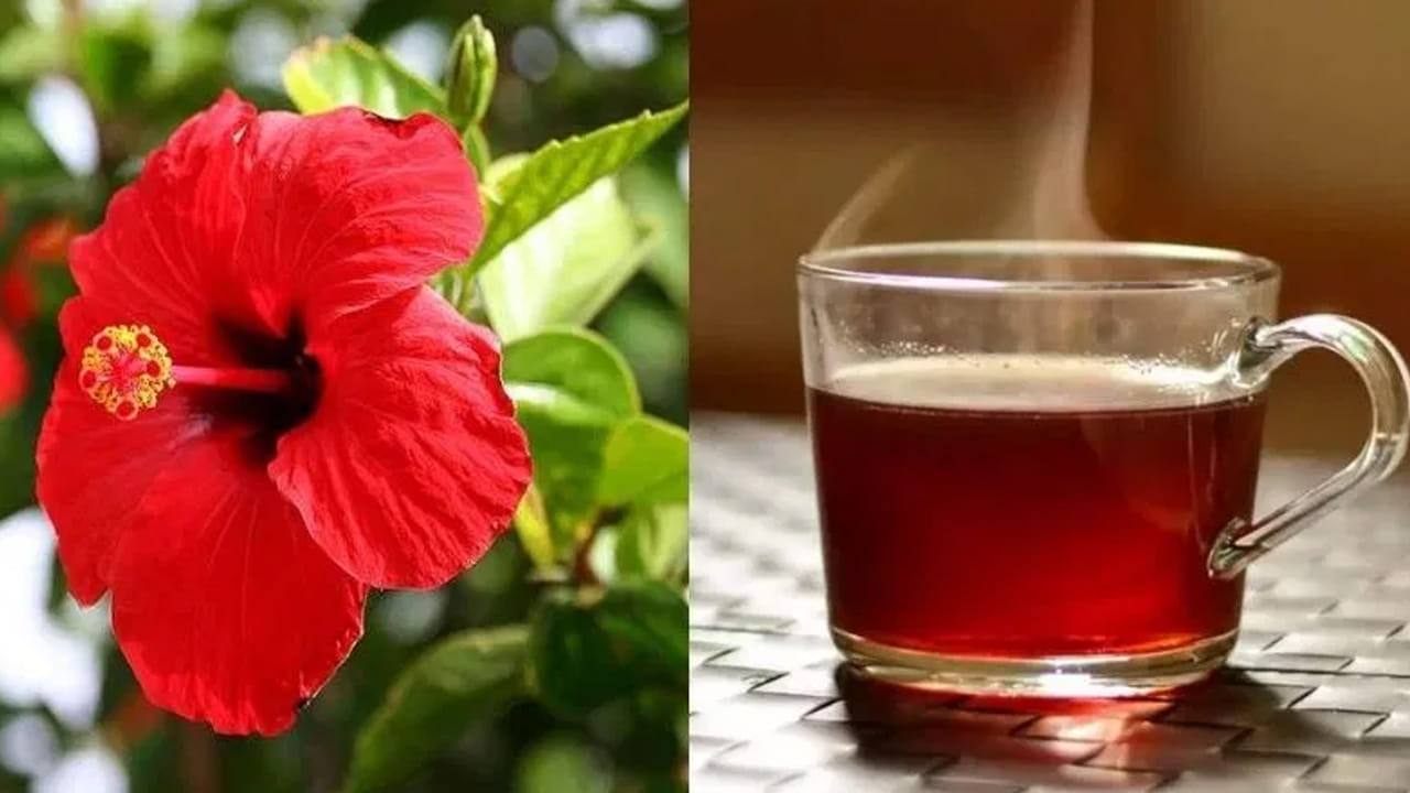 మందార టీ (Hibiscus Tea): ఇంకా మందార టీ రక్తపోటును నియంత్రించడంలో, జీర్ణక్రియను మెరుగుపరచడంలో సహాయపడుతుంది. ఎండబెట్టిన మందార రేకులతో తయారు చేసిన టీ తాగడం వల్ల శరీరానికి కావాల్సిన యాంటీ ఆక్సిడెంట్లు అందుతాయి. ఇది అధిక రక్తపోటును (Blood Pressure) తగ్గించడంలో మరియు కొలెస్ట్రాల్ స్థాయిలను నియంత్రించడంలో సహాయపడుతుంది.