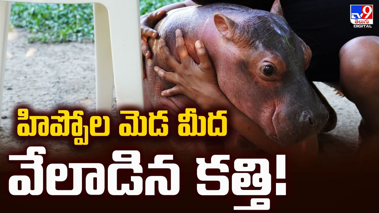 హిప్పోల మెడ మీద వేలాడిన కత్తి.. కొలంబియా నిర్ణయంపై అంబానీ స్పందన