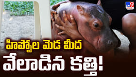 హిప్పోల మెడ మీద వేలాడిన కత్తి.. కొలంబియా నిర్ణయంపై అంబానీ స్పందన