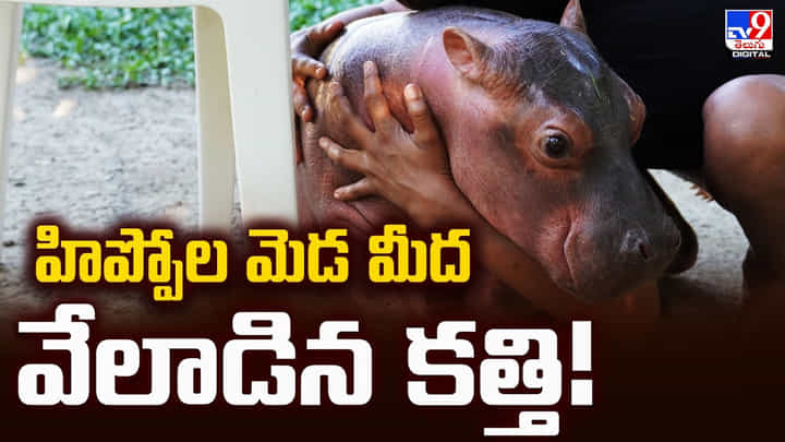 హిప్పోల మెడ మీద వేలాడిన కత్తి.. కొలంబియా నిర్ణయంపై అంబానీ స్పందన హిప్పోల మెడ మీద వేలాడిన కత్తి.. కొలంబియా నిర్ణయంపై అంబానీ స్పందన