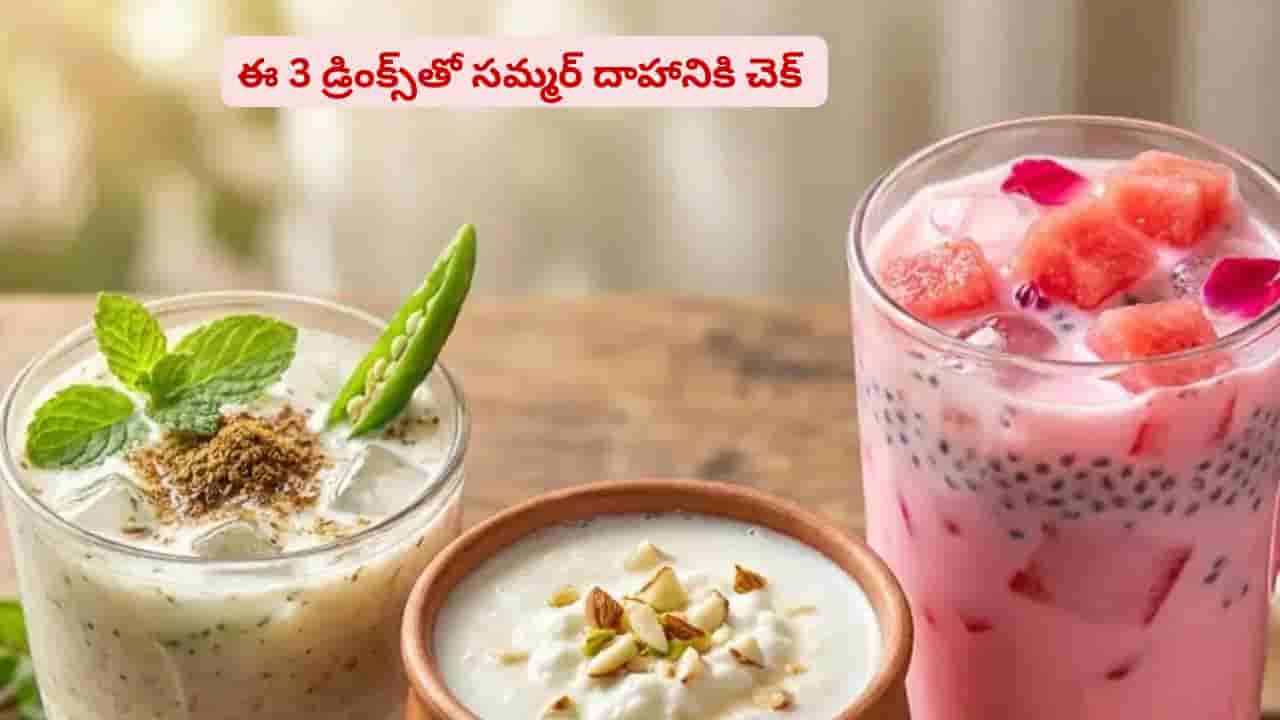 ఎండ వేడికి గొంతు ఎండిపోతోందా? ఈ మూడు డ్రింక్స్తో దాహానికి చెక్ పెట్టేయొచ్చు