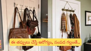 Vastu Tips: ఇవి తలుపు వెనుక ఉంచితే దురదృష్టం వస్తుందా? వాస్తు శాస్త్రం చెబుతున్న నిజాలు