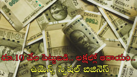 భారీ ఆదాయం ఇచ్చే బిజినెస్‌.. కేవలం రూ.10 వేల పెట్టుబడి!