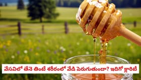 వేసవిలో తేనె తింటే శరీరంలో వేడి పెరుగుతుందా? ఇదిగో క్లారిటీ