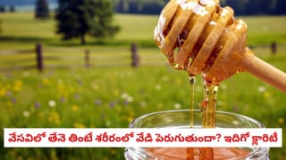 Watermelon & Kidney Health: పుచ్చకాయలు ఎక్కువగా తింటే కిడ్నీ సమస్యలు వస్తాయా?