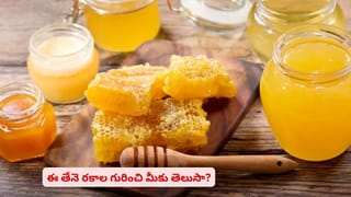 పిల్లలు హెల్తీగా ఉండాలనుకుంటున్నారా? ఈ పద్దతులు పాటిస్తే వాళ్లకి తిరుగుండదు