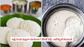 ఇడ్లీ పిండి పుల్లగా మారిందా? డోంట్ వర్రీ.. ఇదొక్కటి కలపండి