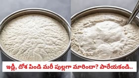 ఇడ్లీ, దోశ పిండి మరీ పుల్లగా మారిందా? పారేయకండి..
