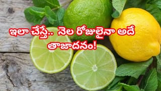 సూపర్‌ఫుడ్‌గా పిలిచే ఈ గింజలు రోజూ గుప్పెడు తిన్నారంటే తిరుగులేదు.. గుండె నుండి చర్మం వరకు ఎన్నో లాభాలు!