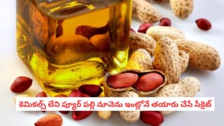 Natural Remedy: వంటింట్లోని సంజీవని.. పరగడుపున ఈ ఆకులు నమిలితే మీ ఇమ్యూనిటీ నెక్స్ట్ లెవెల్‌కు వెళ్లడం ఖాయం!