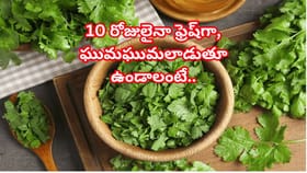 కొత్తిమీర 10 రోజులైనా తాజాగా ఉండాలా?ఈ సింపుల్‌ చిట్కాలు పాటించండి