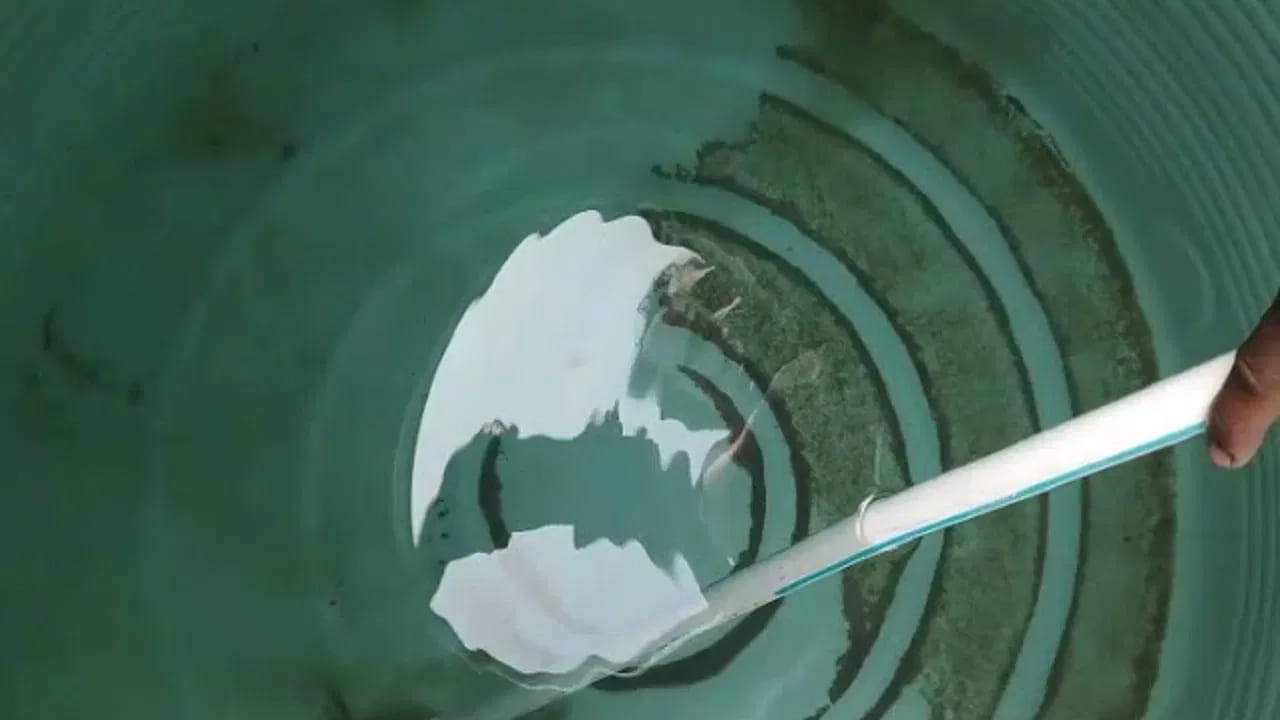 How To Prevent Algae In Water Tank