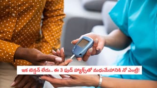 Summer Health: ఎండ దెబ్బకు ఇదొక్కటే విరుగుడు.. అసలు రహస్యం తెలిస్తే అస్సలు వదలరు!