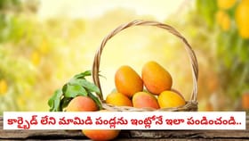 కార్బైడ్ లేని మామిడి పండ్లను ఇంట్లోనే ఇలా పండించండి..