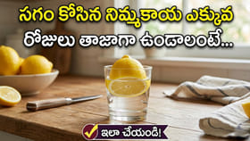 సగం కోసిన నిమ్మకాయ ఎండిపోతోందా? ఇలా చేస్తే ఎన్ని రోజులైన తాజాగానే