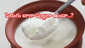 పెరుగు బాగా పులిసిపోయిందా? పారేయకండి.. ఈ 4 వంటకాలతో పాటు మీ ఇళ్లు