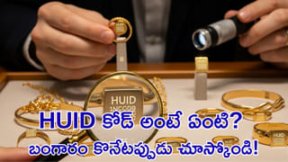 Mukesh Ambani: రిలయన్స్ చైర్మన్‌గా పనిచేస్తున్నందుకు ముకేష్ అంబానీ జీతమెంతో తెలుసా..?
