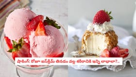 షాకింగ్: రోజూ ఐస్‌క్రీమ్ తినడం వల్ల శరీరానికి ఇన్ని లాభాలా?..
