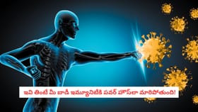 ఇవి తింటే మీ బాడీ ఇమ్యూనిటీకి పవర్ హౌస్‌లా మారిపోతుంది!