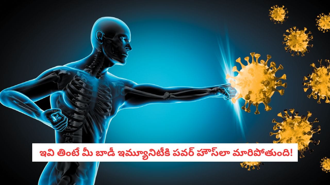 Immune Boosters: పదే పదే జ్వరం, జలుబు వస్తున్నాయా?.. డాక్టర్లతో పనిలేకుండా మీ ఇమ్యూనిటీని పెంచే సీక్రెట్ లీక్!