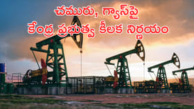 చమురు, గ్యాస్‌పై కేంద్ర ప్రభుత్వ కీలక నిర్ణయం!