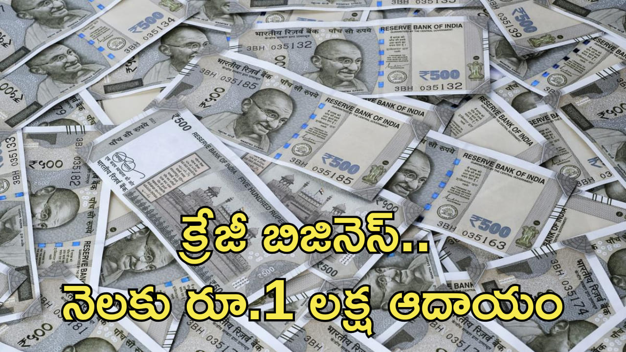Business Idea: తక్కువ పెట్టుబడతో నెలకు రూ.1 లక్ష సంపాదన! క్రేజీ బిజినెస్