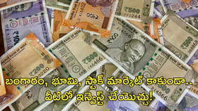 బంగారం, భూమి, స్టాక్స్‌ కాకుండా వేరే పెట్టుబడి మార్గాలు ఇవే!