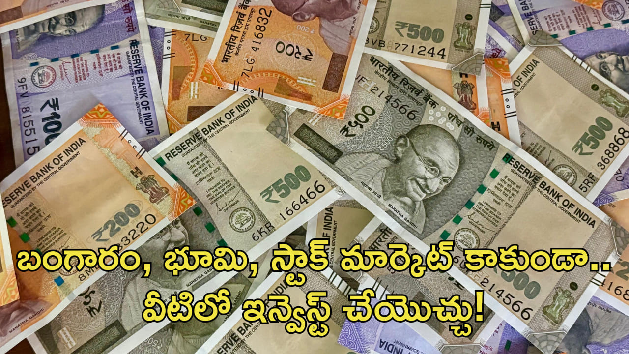 కొత్తగా ట్రై చేయండి! బంగారం, భూమి, స్టాక్ మార్కెట్ కాకుండా.. వీటిలో ఇన్వెస్ట్ చేయొచ్చు!