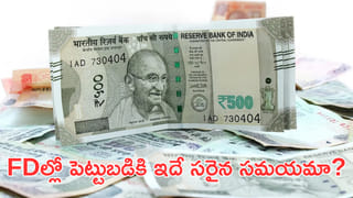 Business Idea: ఈ వేసవిలో మామిడి పండ్ల బిజినెస్‌ ఎలా చేయాలి? పెట్టుబడి ఎంత కావాలి? లాభం ఎంత రావొచ్చు!
