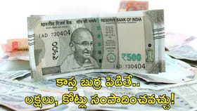 కాస్త బుర్ర పెడితే.. లక్షలు సంపాదన!