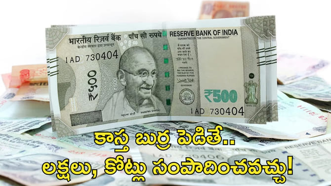 కాస్త బుర్ర పెడితే.. లక్షలు సంపాదన!