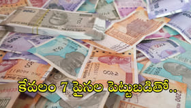 లాభాల పంట పండించిన పెన్నీ స్టాక్స్‌!