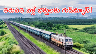 రూ.11,000 కోట్ల ఐపీఓతో మార్కెట్లోకి జెప్టో! క్విక్ కామర్స్ రంగంలో కొత్త దశ