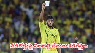 IPL 2026 Playoffs : ఒక్క టీం చేతిలో 5 జట్ల తలరాతలు.. ఐపీఎల్ ప్లేఆఫ్స్ సస్పెన్స్ క్లైమాక్స్‎కు వచ్చేసింది
