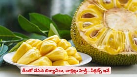 దీంతో చేసిన బిర్యానీలు, చాక్లెట్లు హెల్తీ.. సీక్రెట్స్ ఇవే
