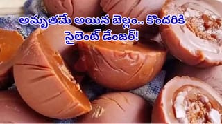 శ్రీశైలం మల్లన్న ఆలయానికి భారీగా హుండీ ఆదాయం