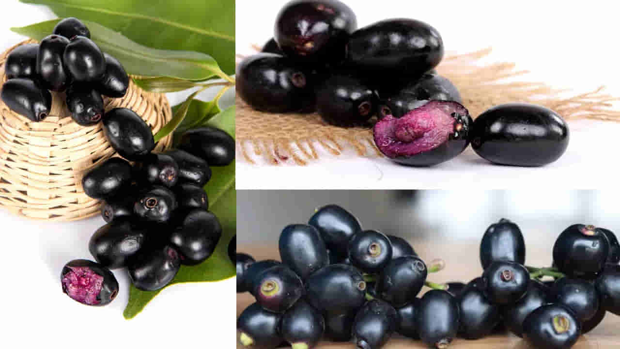 Jamun Fruit: నేరేడు పండ్లు తింటున్నారా..? ముందు ఈ నిజాలు తెలుసుకోండి..