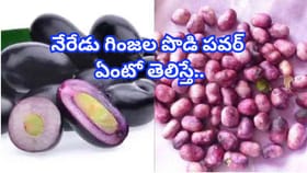 నేరేడు గింజలను పారేస్తున్నారా? ఈ అద్భుతమైన ప్రయోజనాలు తెలిస్తే
