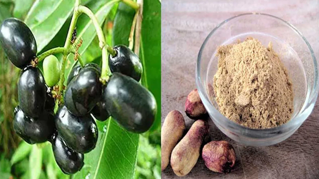 కాలేయ సంరక్షణ (Liver Function): నేరేడు గింజల్లో ఉండే యాంటీఆక్సిడెంట్లు కాలేయాన్ని దెబ్బతీసే ఫ్రీ రాడికల్స్తో పోరాడుతాయి. ఇది కాలేయంలోని టాక్సిన్లను (విషపదార్థాలను) బయటకు పంపి, లివర్ పనితీరును మెరుగుపరుస్తుంది. కాలేయ వాపు లేదా ఇన్ఫెక్షన్ల బారిన పడకుండా ఇది రక్షిస్తుంది.