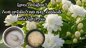 మల్లె పూలు పిచ్చి పిచ్చిగా పూయాలంటే ఇది ఇచ్చి చూడండి..