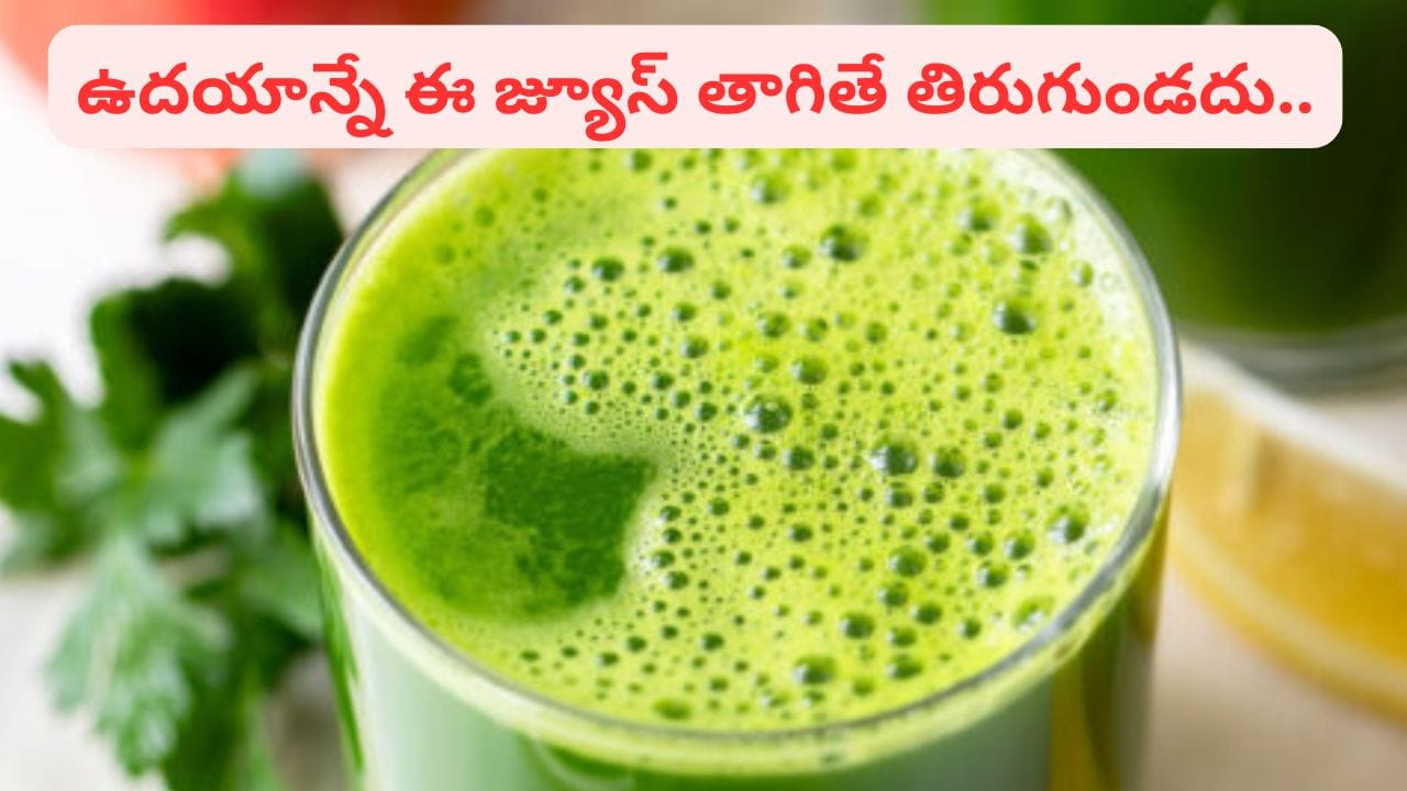 అది ఇది వద్దు.. ఉదయాన్నే ఇది ఒక్క గ్లాస్ తాగండి చాలు.. ఆ రోగాలు హాంఫట్..
