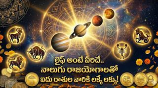 Daily Puja Guidelines: పూజ సమయంలో ఈ తప్పు చేస్తే ఫలితం దక్కదట.. నిలబడి పూజపై శాస్త్ర నియమాలు!