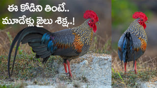 ముద్దు ముద్దు మాటలకే లొంగిపోయాడు.. దేశ రహస్యాలను అమ్మేసిన యువకుడు..!
