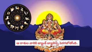 Scorpio Blue Moon 2026: వృశ్చిక రాశిలో నీలి చంద్రుడు.. చాలా కాలం తర్వాత ఈ రాశుల వారికి కుబేర యోగం..